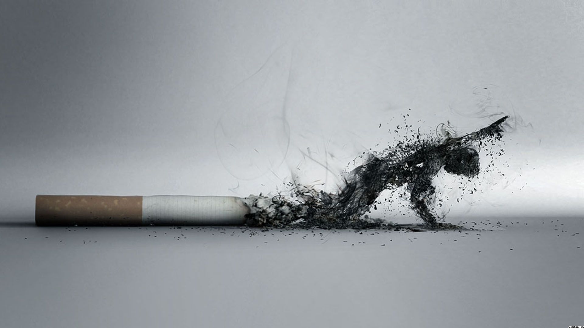 Smoking cigarettes has been linked to developing gray hair before the age of 30.
