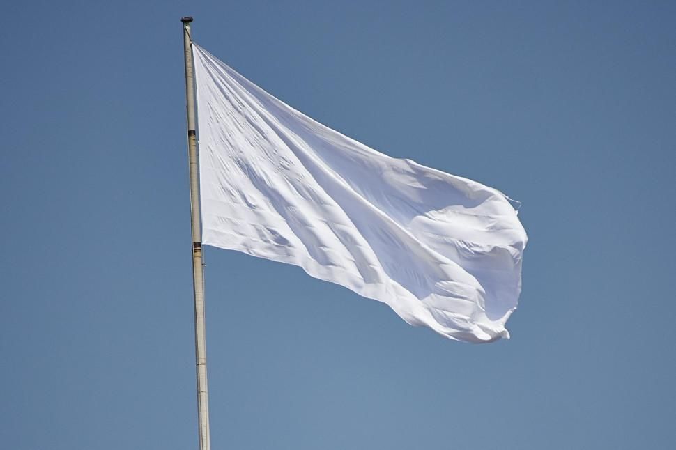 From 1814 to 1830, the flag of the Kingdom of France was plain white.