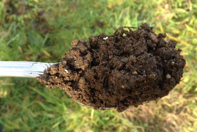 There are more living organisms in a teaspoonful of soil than there are people on the planet.