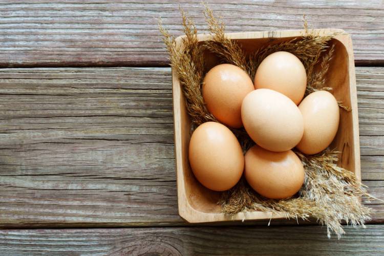 An egg contains every vitamin except Vitamin C