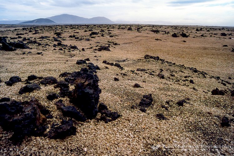 Iceland was chosen as the training ground for Apollo astronauts because it was the most “moonlike” surface.