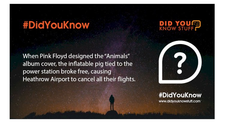 When Pink Floyd designed the “Animals” album cover, the inflatable pig tied to the power station broke free, causing Heathrow Airport to cancel all their flights.