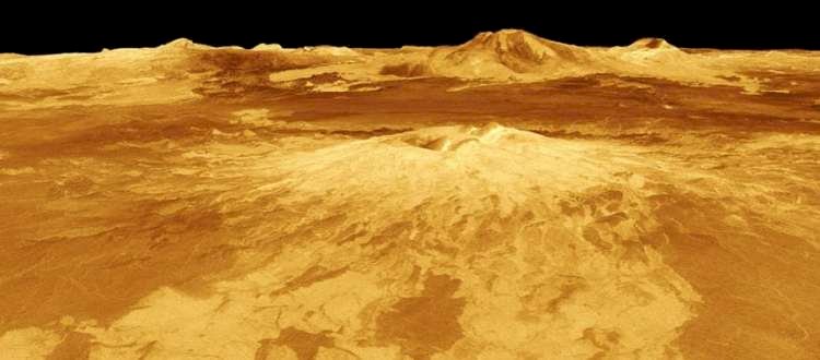 There are more volcanoes on Venus than any other planet within our Solar System.